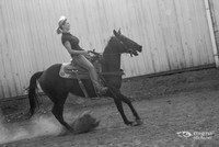 enigmaphoto-lowres-4378