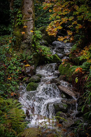 enigmaphoto_JVB4584