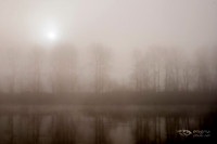 _DSC8895