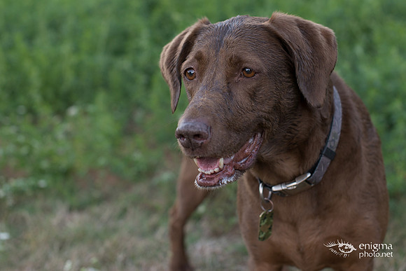 20140831-_DSC3781
