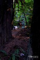 20140831-_DSC3709