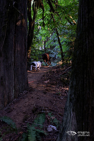20140831-_DSC3709
