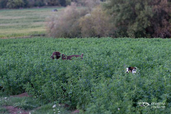 20140831-_DSC3776
