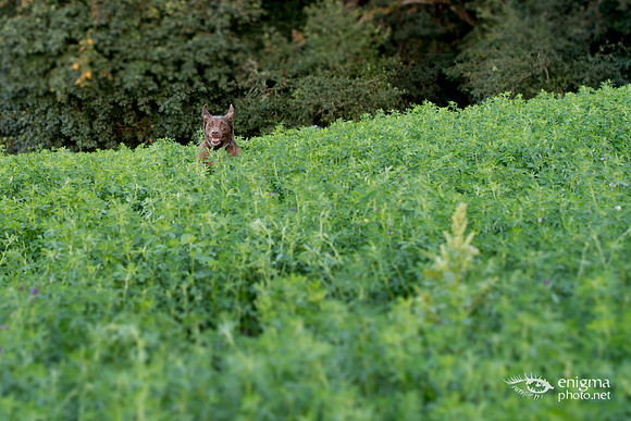 20140831-_DSC3757