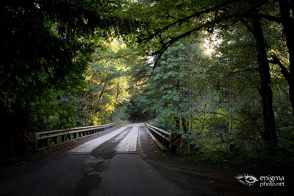 20140831-_DSC3720