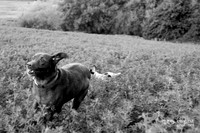 20140831-_DSC3745