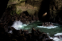 Oregon
