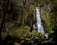 enigmaphoto-