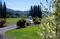 JVB_4933