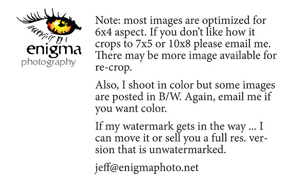Site Instructions