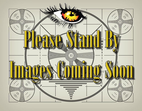 please stand by